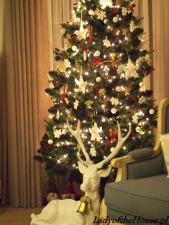 1458415_560316894057598_214707704_n