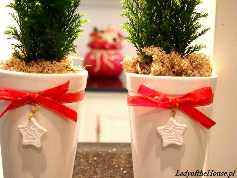 -s0.zmniejszacz.pl-12_zmniejszacz-pl_552645