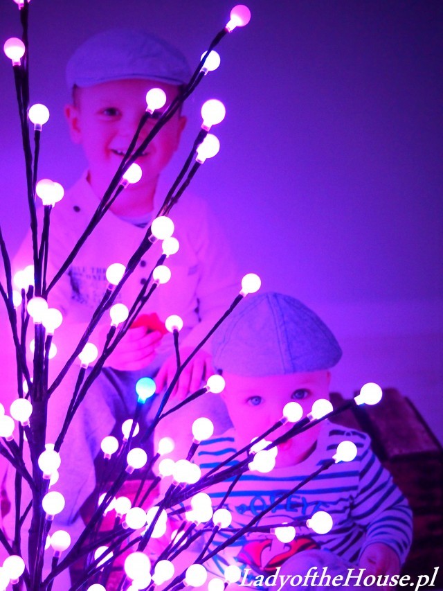 -s0.zmniejszacz.pl-1_zmniejszacz-pl_605659