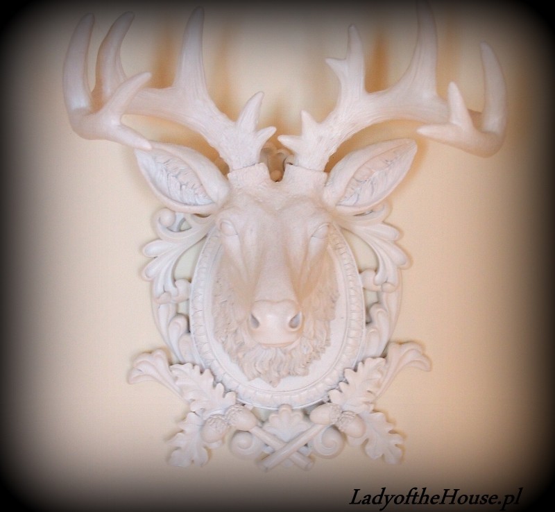 -s0.zmniejszacz.pl-P1011831_zmniejszacz-pl_624724