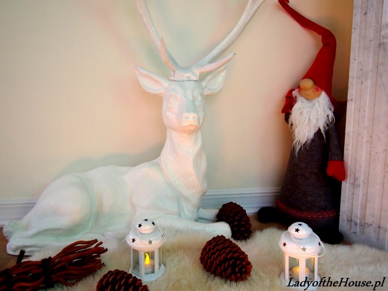 -s0.zmniejszacz.pl-P1011865_zmniejszacz-pl_177193