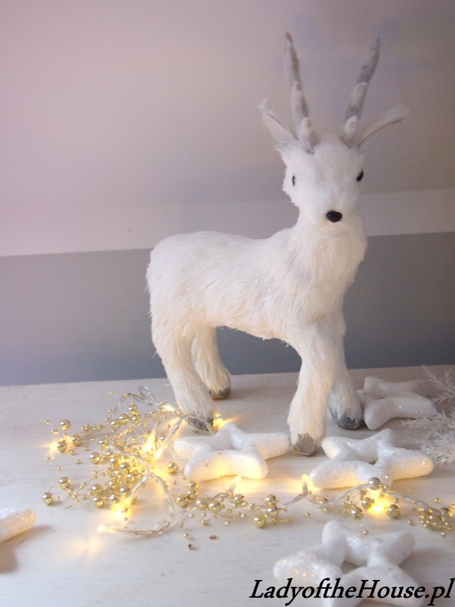 -s0.zmniejszacz.pl-P1011874_zmniejszacz-pl_356032