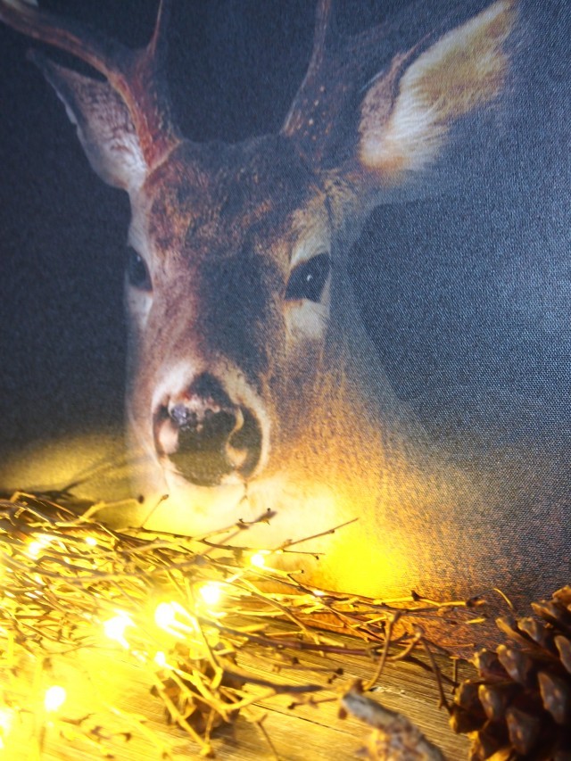 -s0.zmniejszacz.pl-P1011891_zmniejszacz-pl_180293