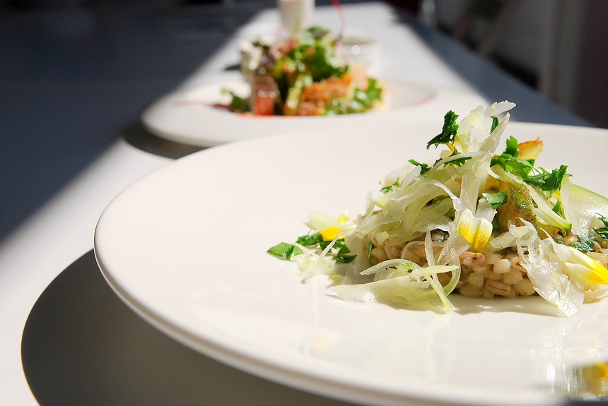 tefal ladyofthehouse