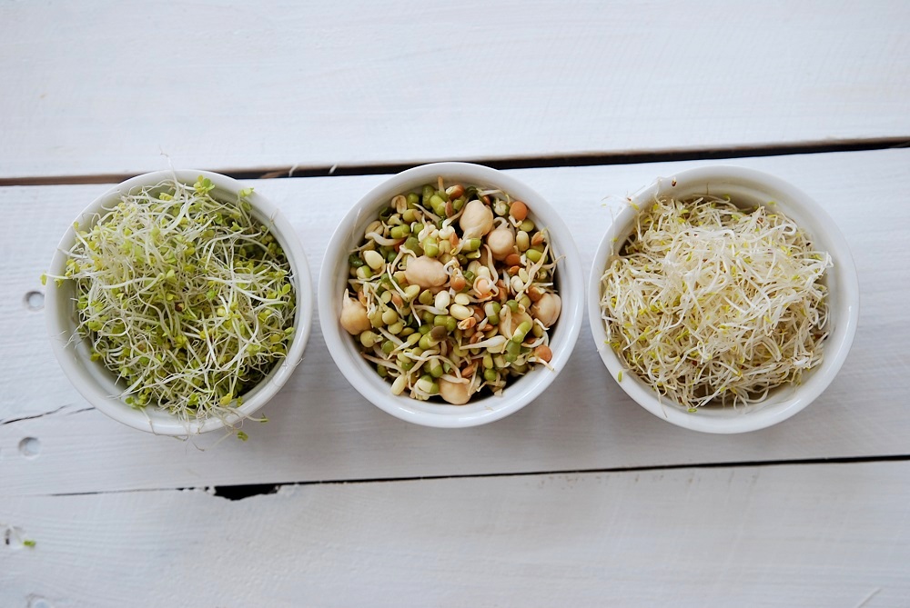 przepisy-z-kielkami-ladyofthehouse