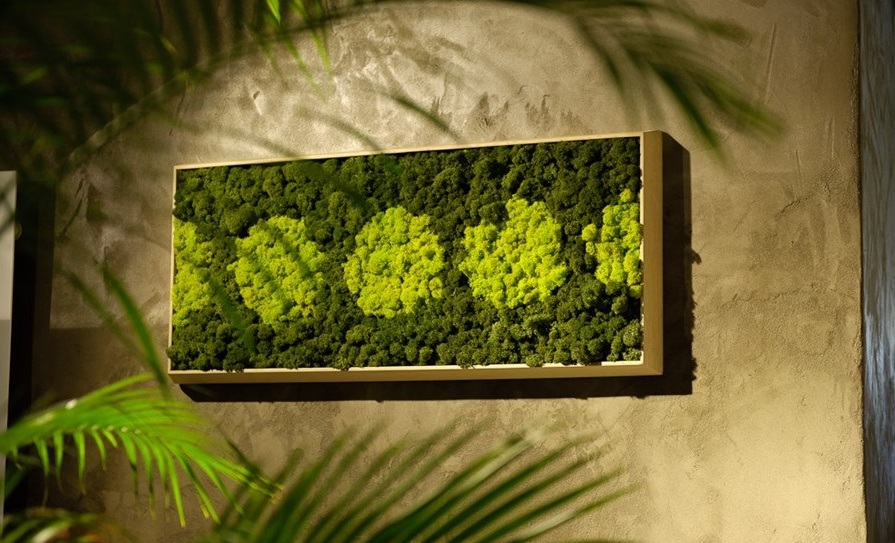 zywe-sciany-w-domu-ladyofthehouse-blog