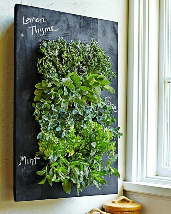 zywe-sciany-w-domu-ladyofthehouse