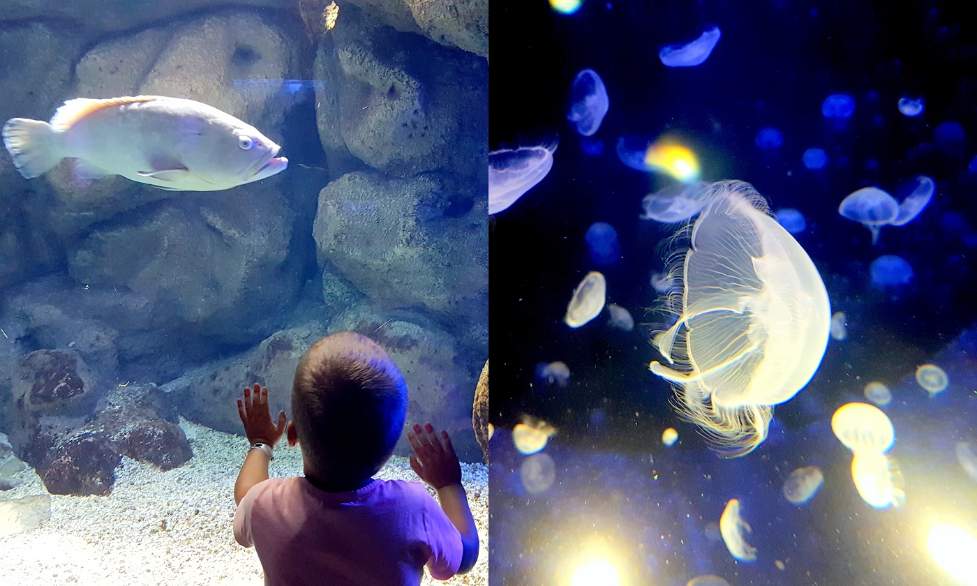 dzieci-wgrecji-blog-ladyofthehouse