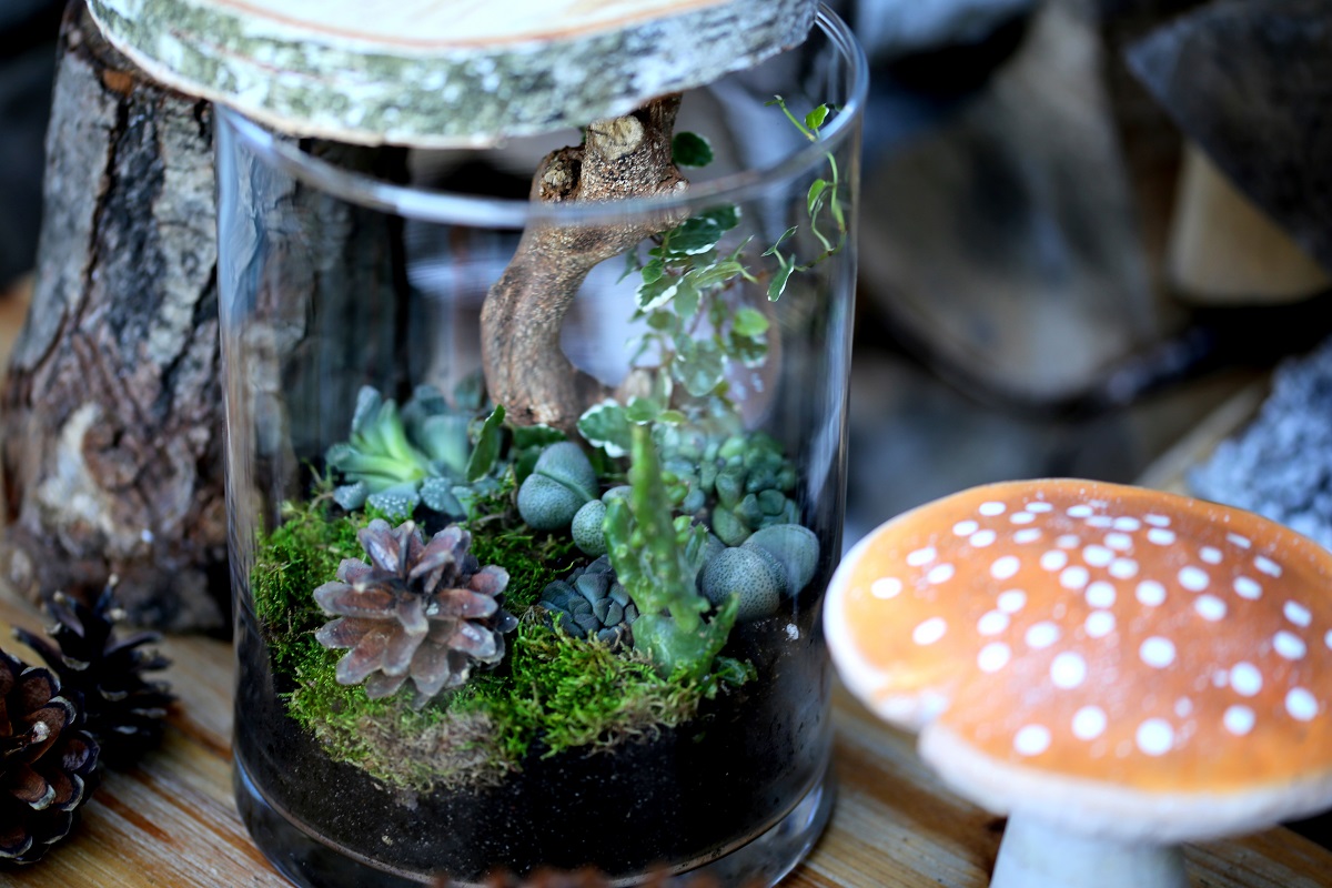 miniogrod-diy-las-w-szkle