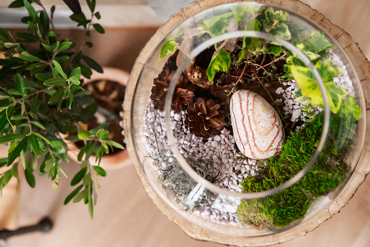 miniogrod-diy-miniszklarnia